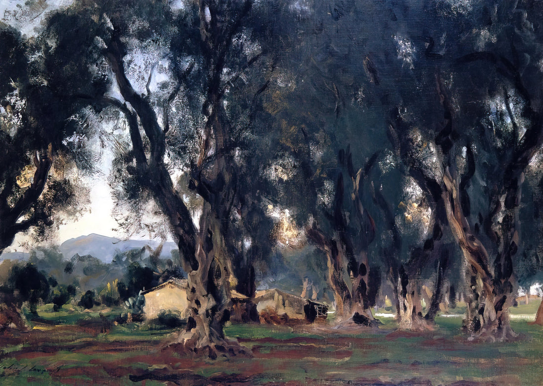 The Grand Affair: John Singer Sargent and the Art of Modern Portraiture - Olive Trees at Corfu by John Singer Sargent