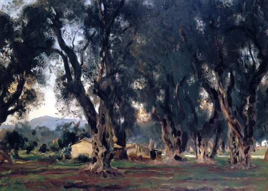 The Grand Affair: John Singer Sargent and the Art of Modern Portraiture - Olive Trees at Corfu by John Singer Sargent
