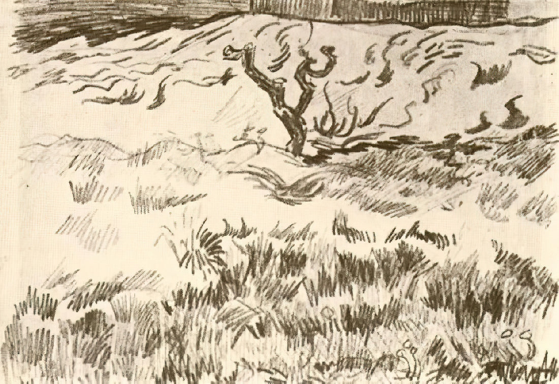 Van Gogh Absinthe Poster: The Story Behind the Artist's Most Controversial Painting - Field with Bare Tree by Vincent van Gogh