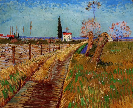 Van Gogh Mulberry Tree Print: A Masterpiece of Arles and Its Enduring Legacy - Path Through a Field with Willows by Vincent van Gogh