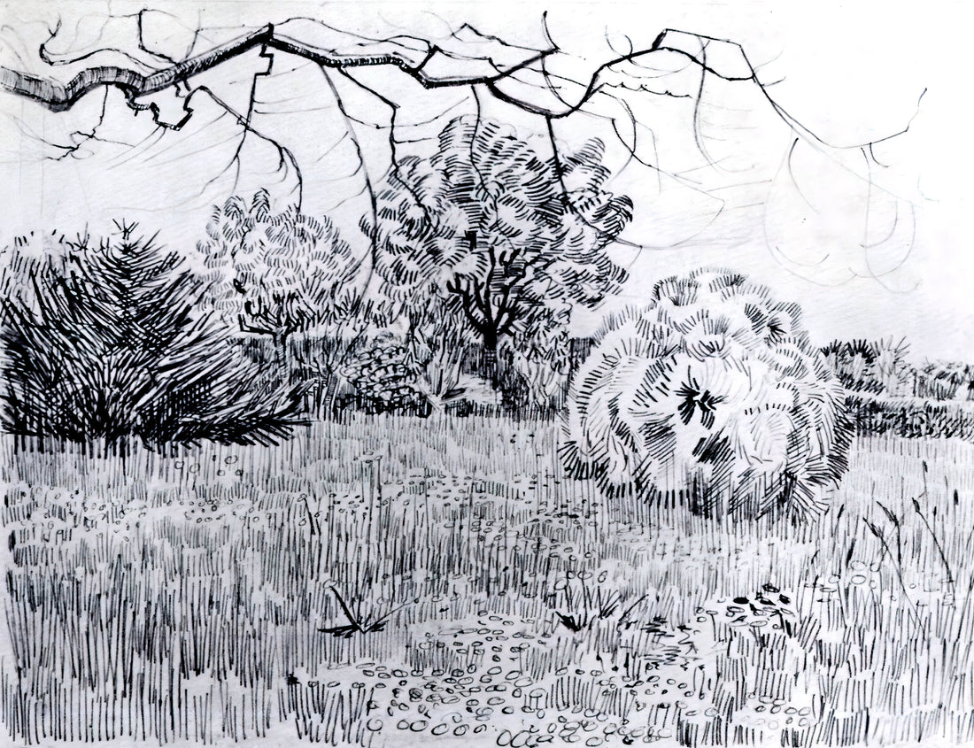 Van Gogh and Japanese Art: The Transformative Influence of Ukiyo-e on a Post-Impressionist Master - Park at Arles by Vincent van Gogh