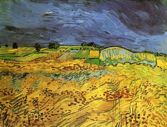 Van Gogh at the Met: A Curator's Guide to the Masterpieces and Their Legacy - The Fields by Vincent van Gogh