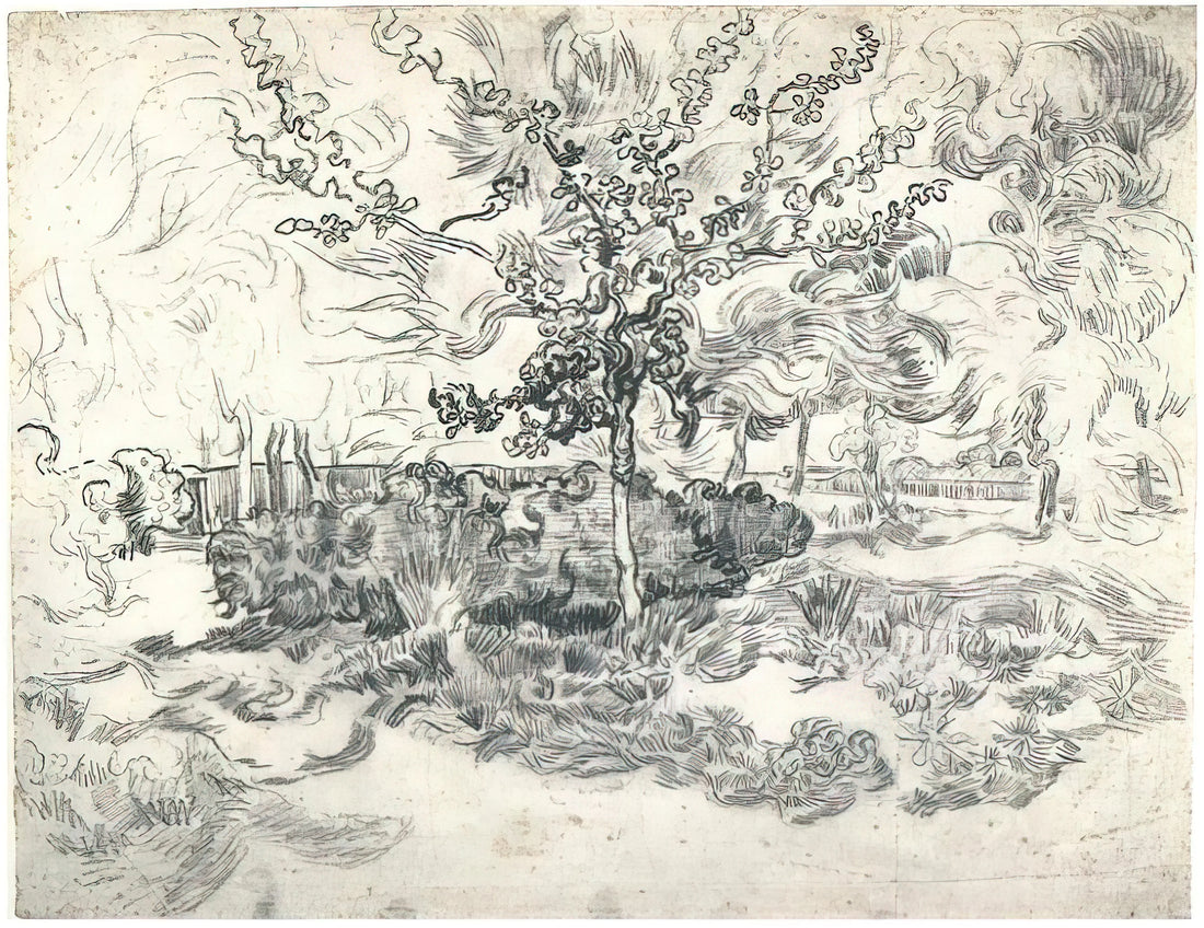 Van Gogh in Saint Remy and Auvers: A Luminous Final Chapter of Genius - Garden of the Asylum by Vincent van Gogh