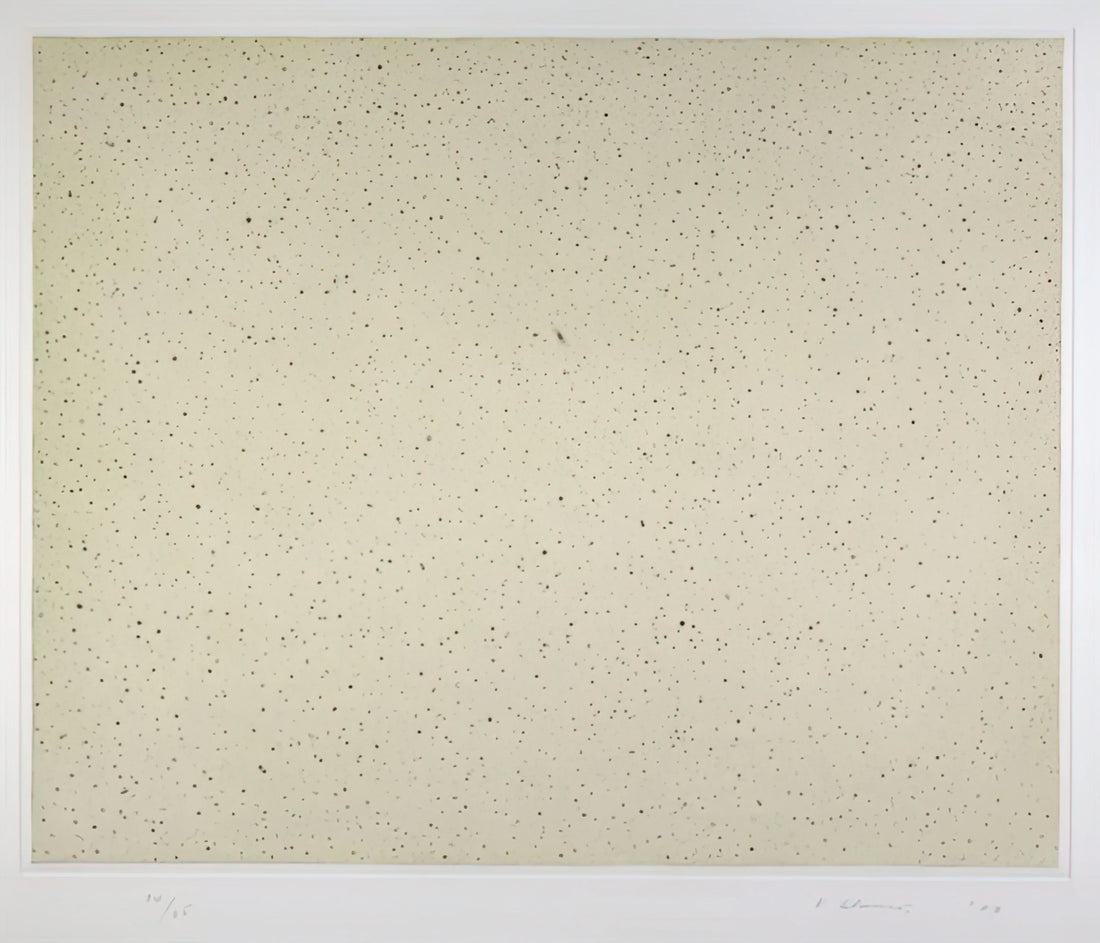 Vija Celmins Early Work: A Deep Dive into the Artist's Foundational Period - NIGHT SKY 2 REVERSED 2002 by Vija Celmins