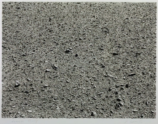 Vija Celmins Waves: The Ocean's Timeless Gaze in Hyperrealist Printmaking - DESERT 1975 by Vija Celmins