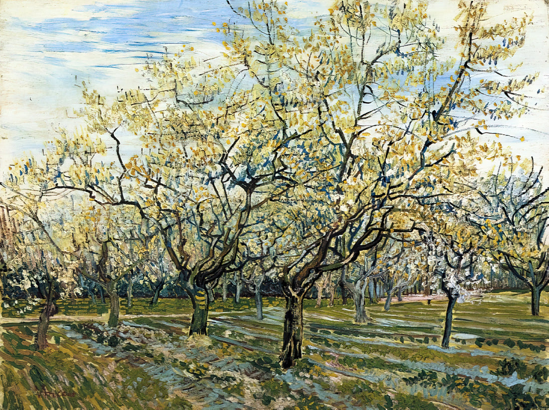 Vincent van Gogh Framed Prints: A Collector's Guide to Owning Masterpieces - Orchard with Blossoming Plum Trees by Vincent van Gogh