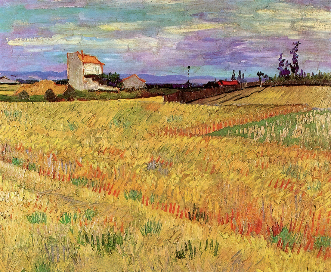 Vincent van Gogh Painting: The Emotional Power and Technical Brilliance Behind the Masterpieces - Wheat Field by Vincent van Gogh