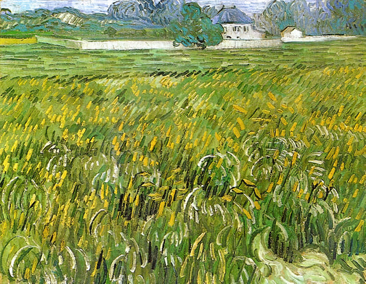 Vincent van Gogh Sunflowers Poster: A Guide to the Artist's Iconic Floral Masterpiece - Wheat Field at Auvers with White House by Vincent van Gogh