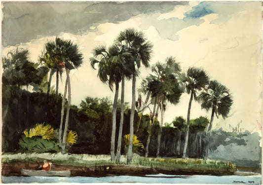 Winslow Homer Gulf of Mexico Paintings: A Master's Encounter with the Southern Sea - THE TURKEY BUZZARD by Winslow Homer