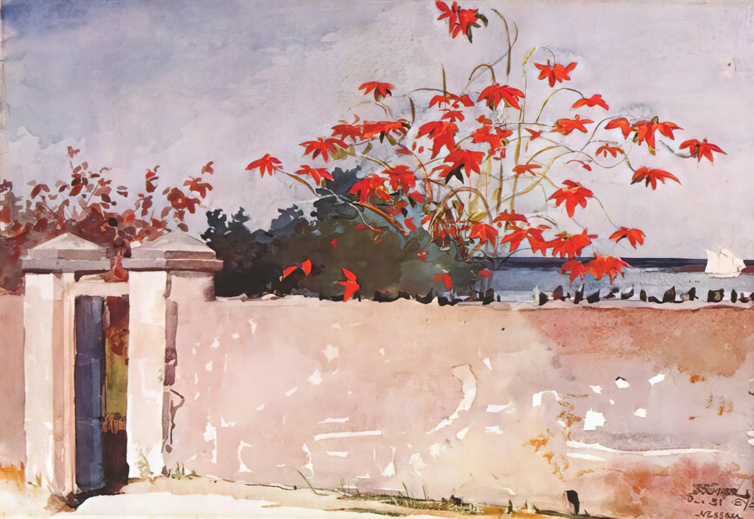 Winslow Homer Watercolor Prints: A Collector's Guide to American Masterpieces - A WALL NASSAU by Winslow Homer