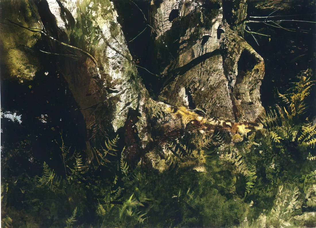 Wyeth May Day: Unpacking Andrew Wyeth's Enduring Masterpiece - VIRGIN BIRCH 1982 by Andrew Wyeth