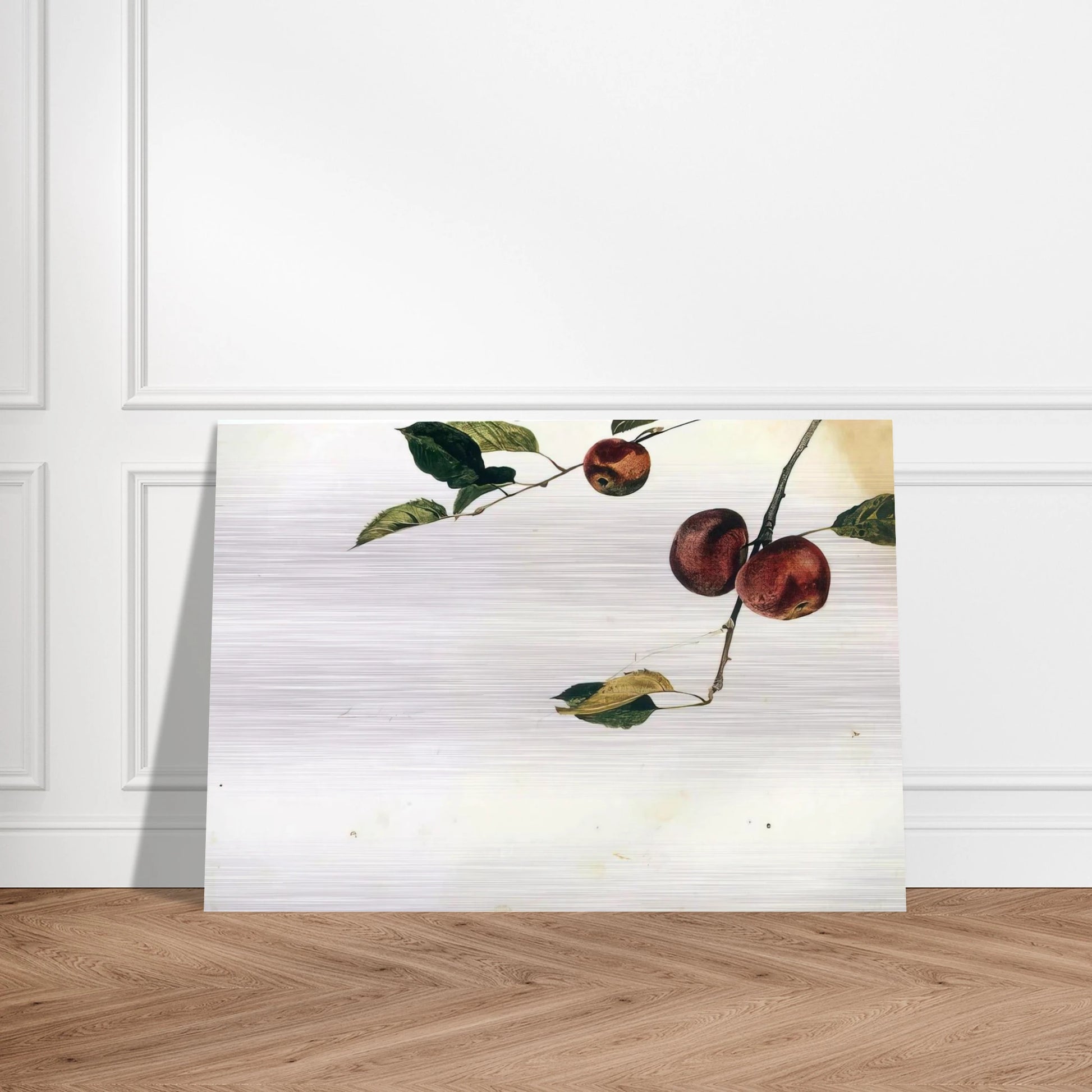 APPLES ON A BOUGH STUDY BEFORE PICKING - Andrew Wyeth Brushed Aluminum Print - 70x100 cm / 28x40 inches | Andrew Wyeth Aluminum Print | Andrew Wyeth Prints