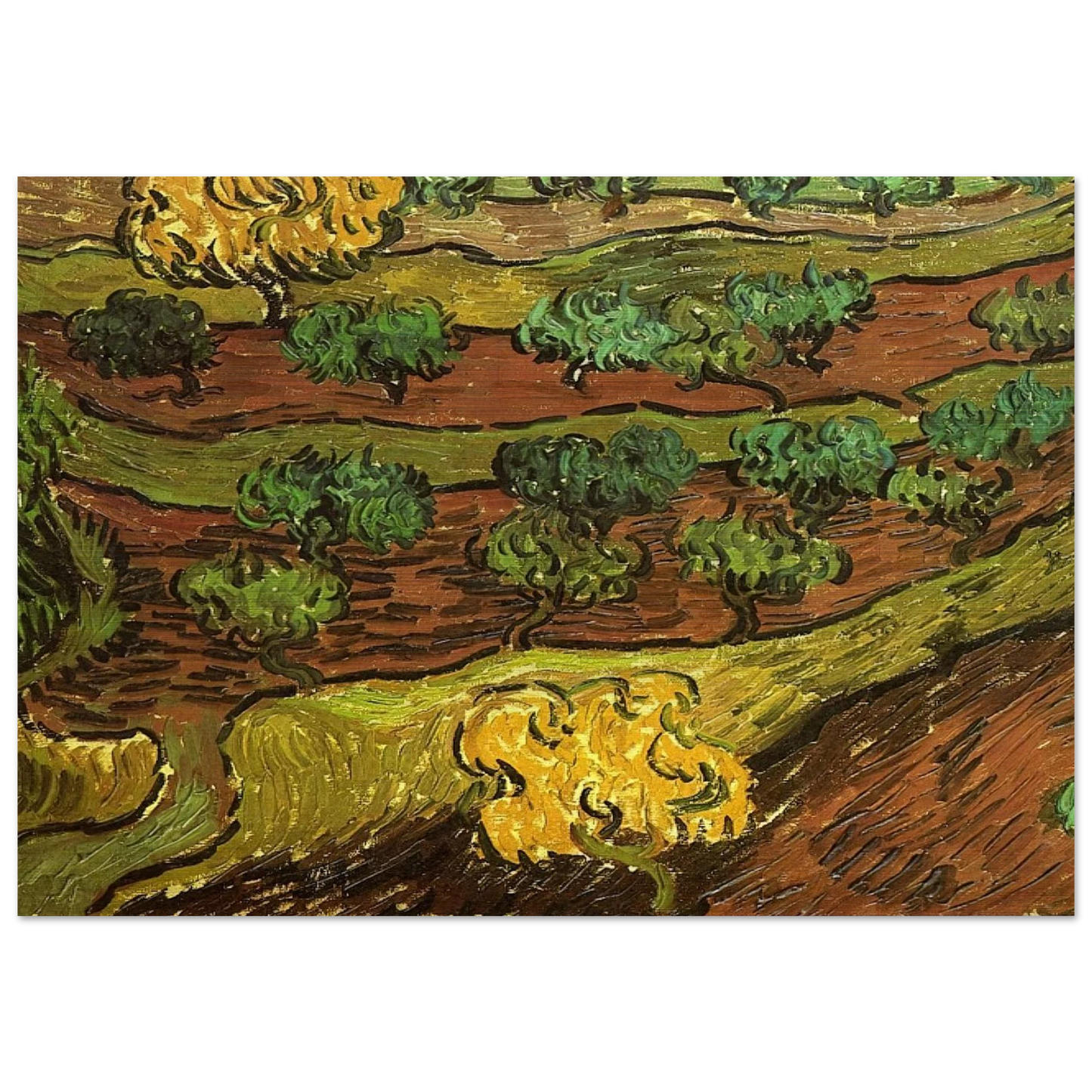 Olive Trees against a Slope of a Hill - Vincent van Gogh Brushed Aluminum Print - 70x100 cm / 28x40 inches | Vincent van Gogh Aluminum Print | Vincent van Gogh Prints
