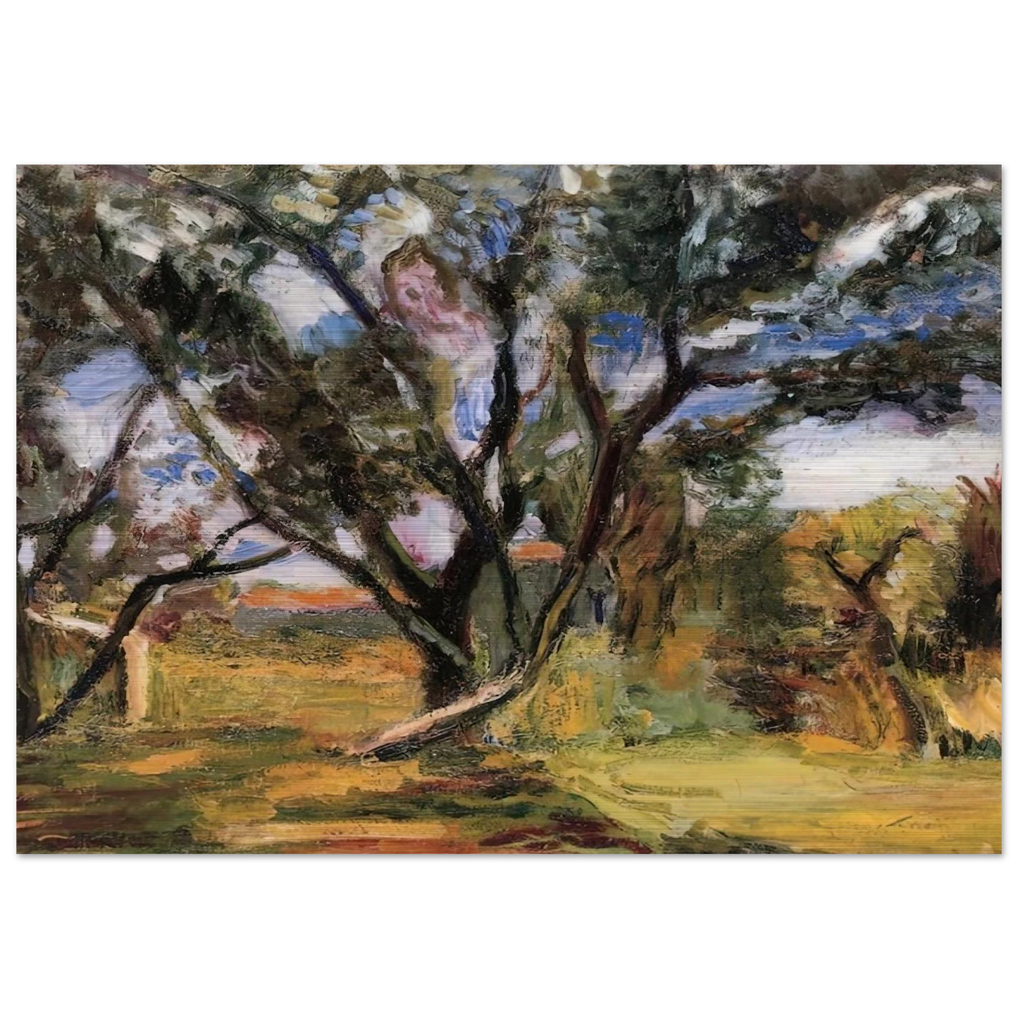 THE OLIVE TREE - Henri Matisse Brushed Aluminum Print - 70x100 cm / 28x40 inches | Henri Matisse Aluminum Print | Henri Matisse Prints