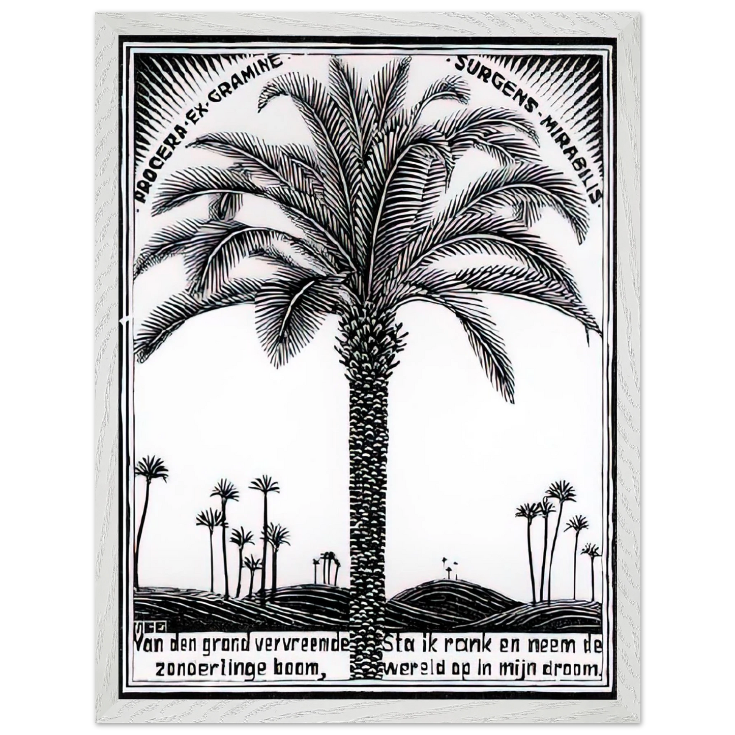 MC Escher - PALM TREE 1 Wall Art - 30x40 cm / 12x16 inches - Premium Wooden Framed Poster With Fine Art Paper-canvas - White frame