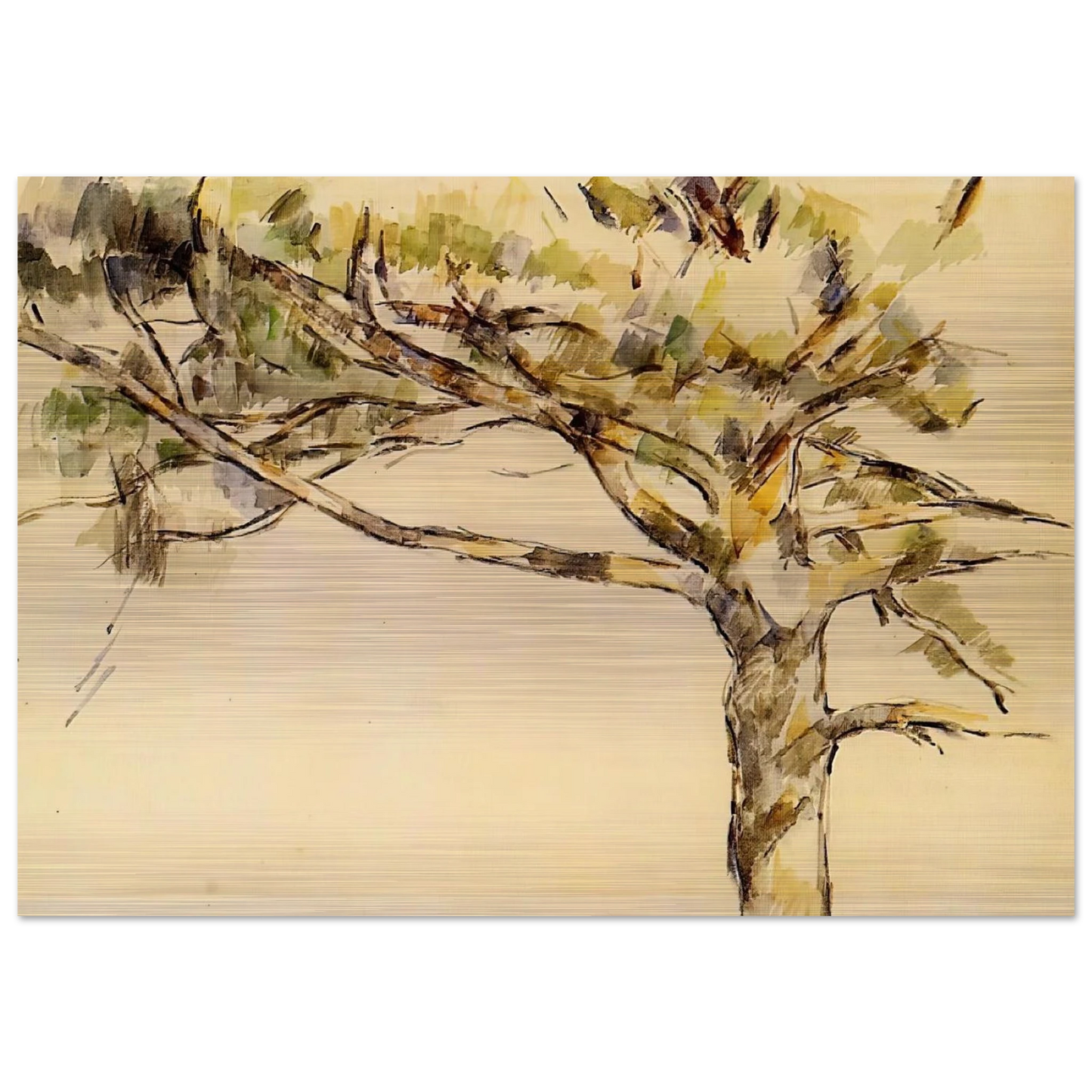 Large Pine - Paul Cézanne Brushed Aluminum Print - 70x100 cm / 28x40 inches | Paul Cézanne Aluminum Print | Paul Cézanne Prints