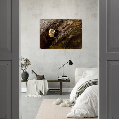 INLAND SHELL - Andrew Wyeth Acrylic Print - 70x100 cm / 28x40″ inches | Andrew Wyeth Wall Art | Andrew Wyeth Prints