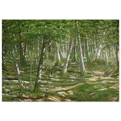 Old Windfall - 1982 - Neil Welliver Brushed Aluminum Print - 70x100 cm / 28x40 inches | Neil Welliver Aluminum Print | Neil Welliver Prints
