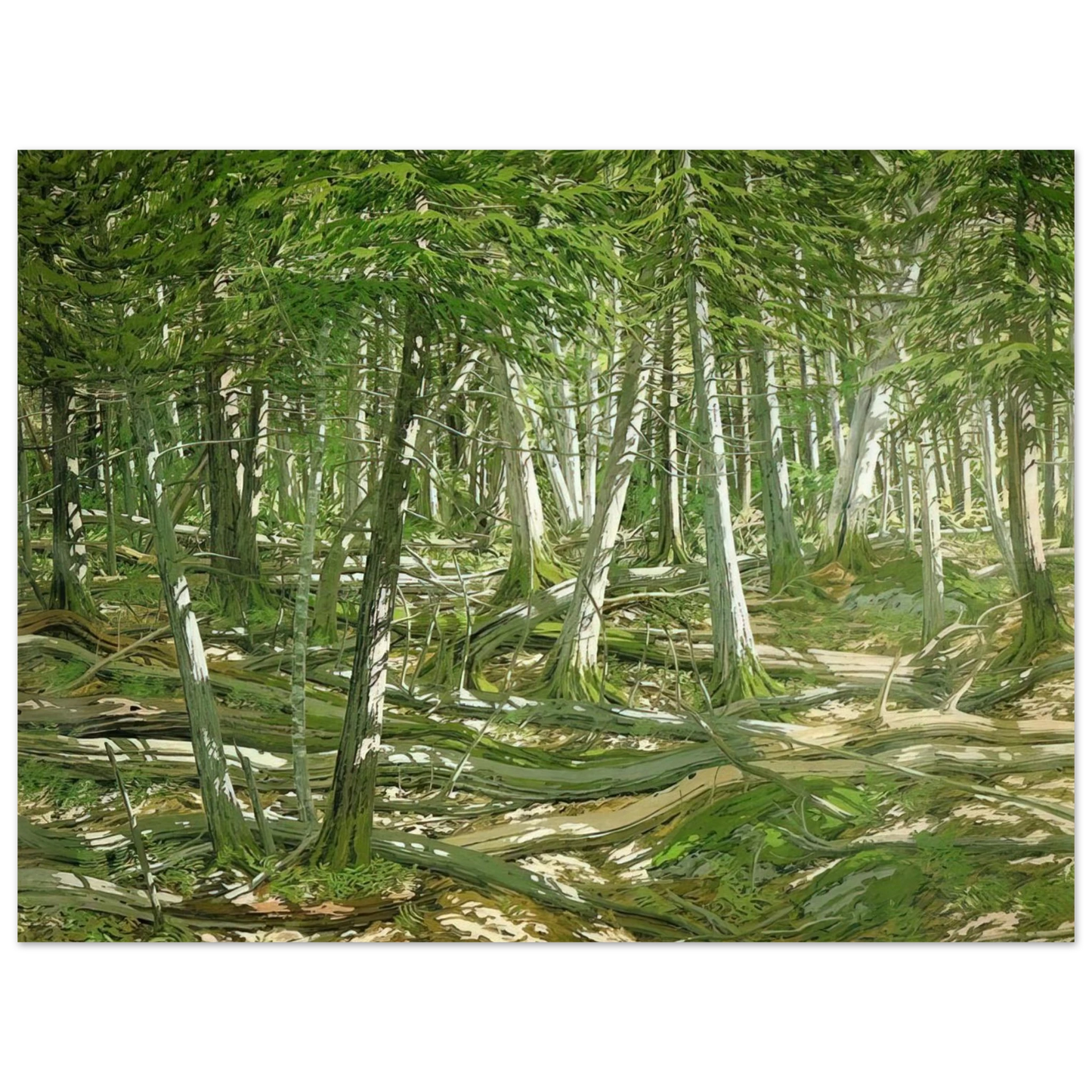 Neil Welliver - Old Windfall - 1982  75x100 cm / 30x40inches Fine Art Poster
