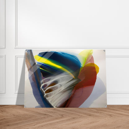 Wanderland Express - Paul Jenkins Acrylic Print - 70x100 cm / 28x40″ inches