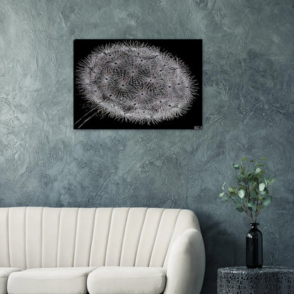 BLOWBALL II - MC Escher Brushed Aluminum Print - 70x100 cm / 28x40 inches | MC Escher Aluminum Print | MC Escher Prints | Maurits Cornelis Escher Prints
