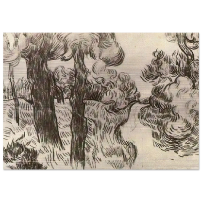 Path between Pine Trees - Vincent van Gogh Brushed Aluminum Print - 70x100 cm / 28x40 inches | Vincent van Gogh Aluminum Print | Vincent van Gogh Prints