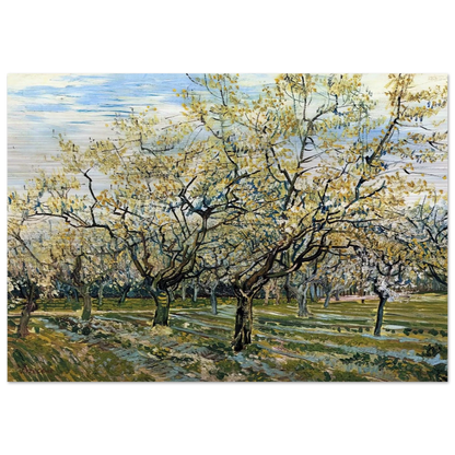 Orchard with Blossoming Plum Trees - Vincent van Gogh Brushed Aluminum Print - 70x100 cm / 28x40 inches | Vincent van Gogh Aluminum Print | Vincent van Gogh Prints