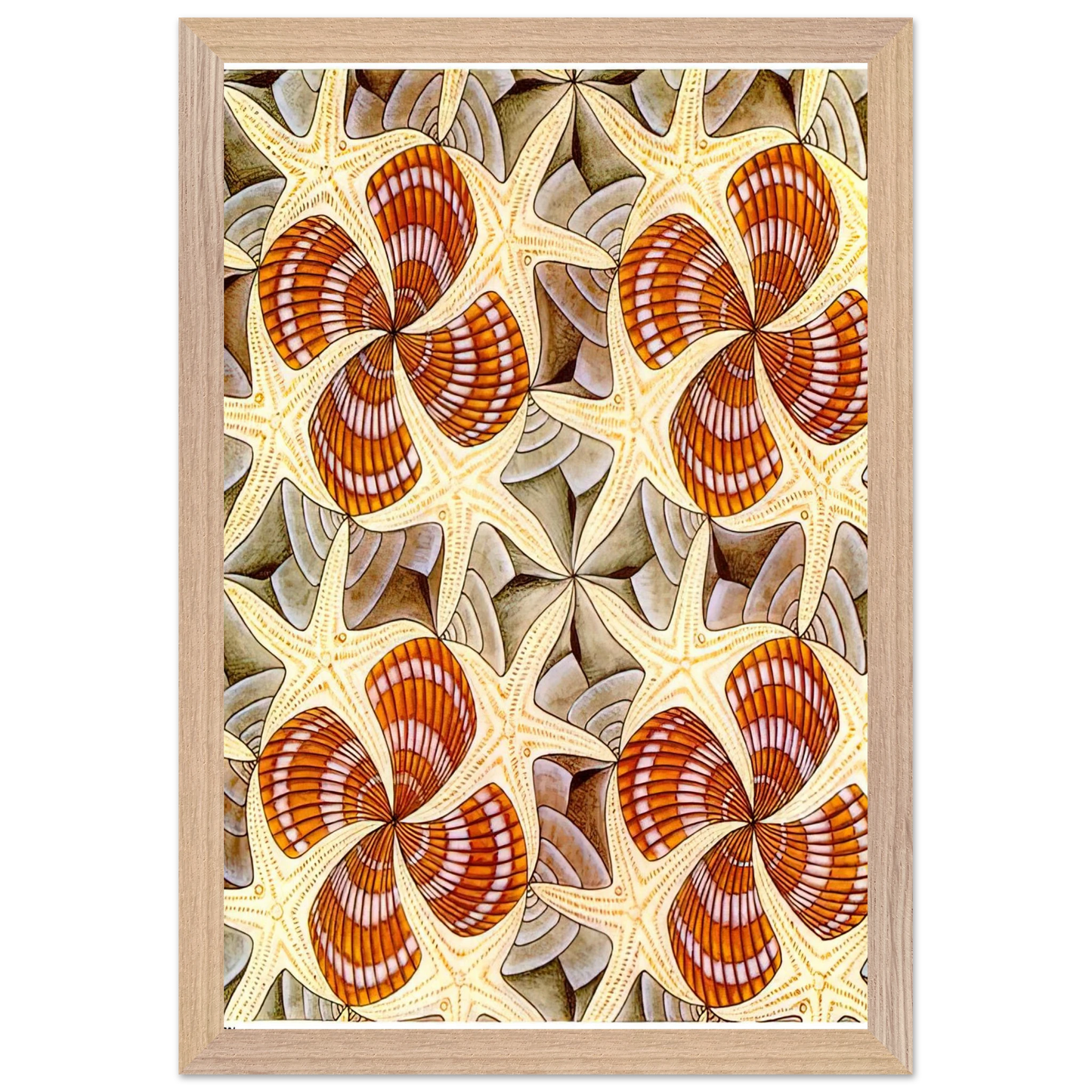 MC Escher - SHELLS AND STARFISH Wall Art - 60x80 cm / 24x32 inches - Fine Art Poster - -