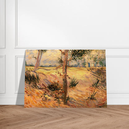 Trees in a Field on a Sunny Day - Vincent van Gogh Brushed Aluminum Print - 70x100 cm / 28x40 inches | Vincent van Gogh Aluminum Print | Vincent van Gogh Prints