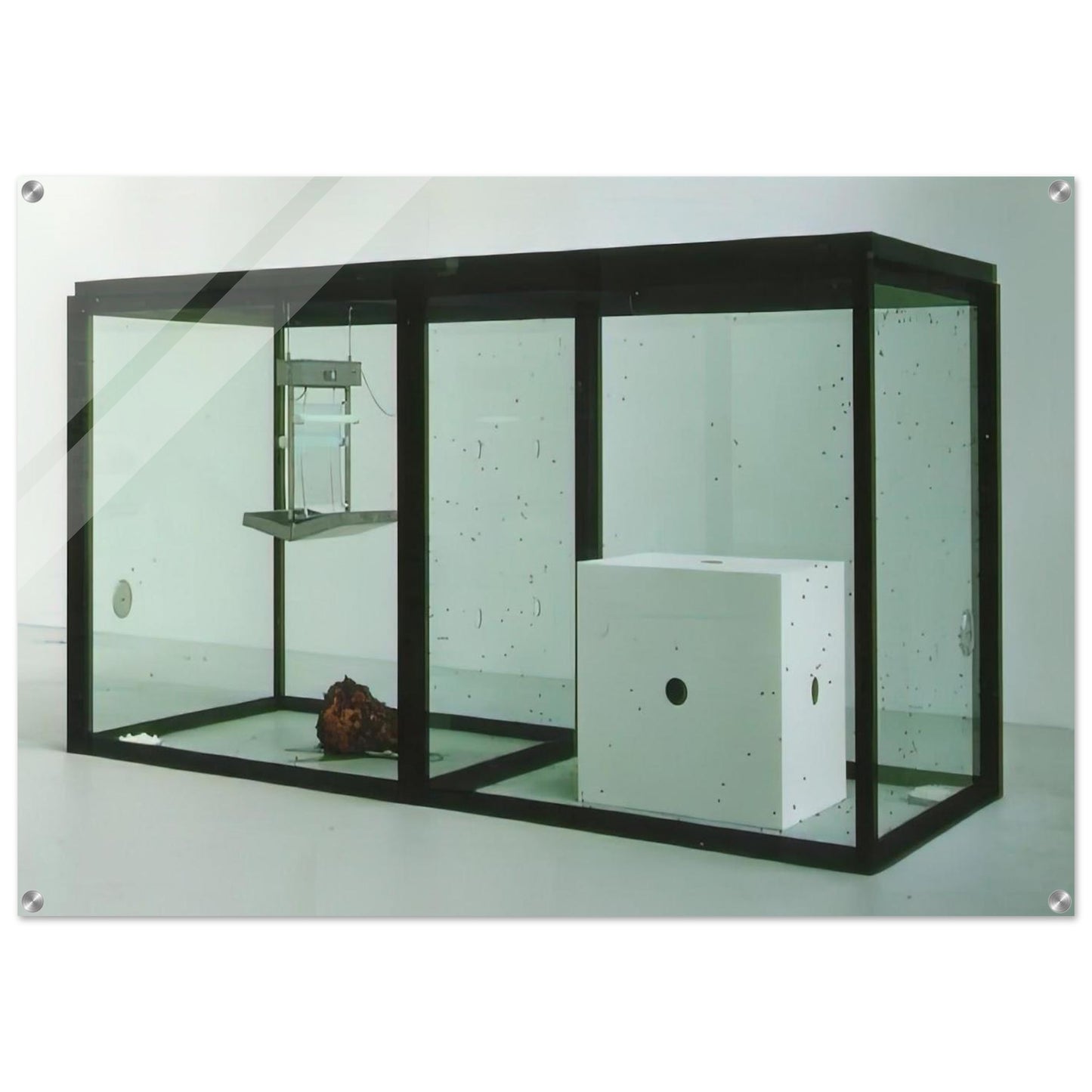 A THOUSAND YEARS - Damien Hirst Acrylic Print - 70x100 cm / 28x40″ inches | Damien Hirst Wall Art | Damien Hirst Prints