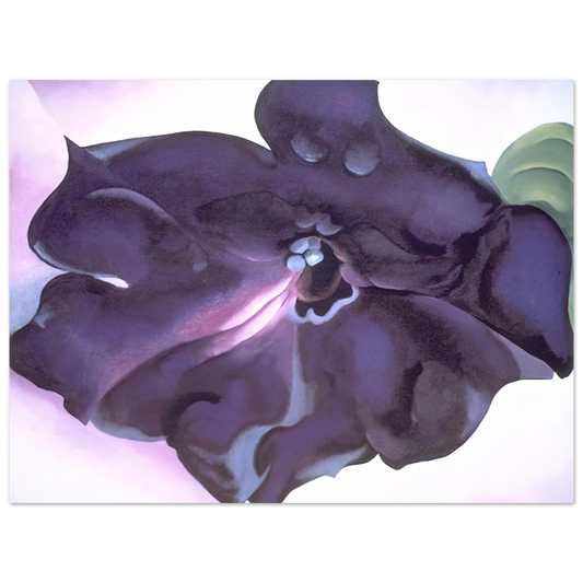 Georgia O'Keeffe - Petunia Fine Art Poster