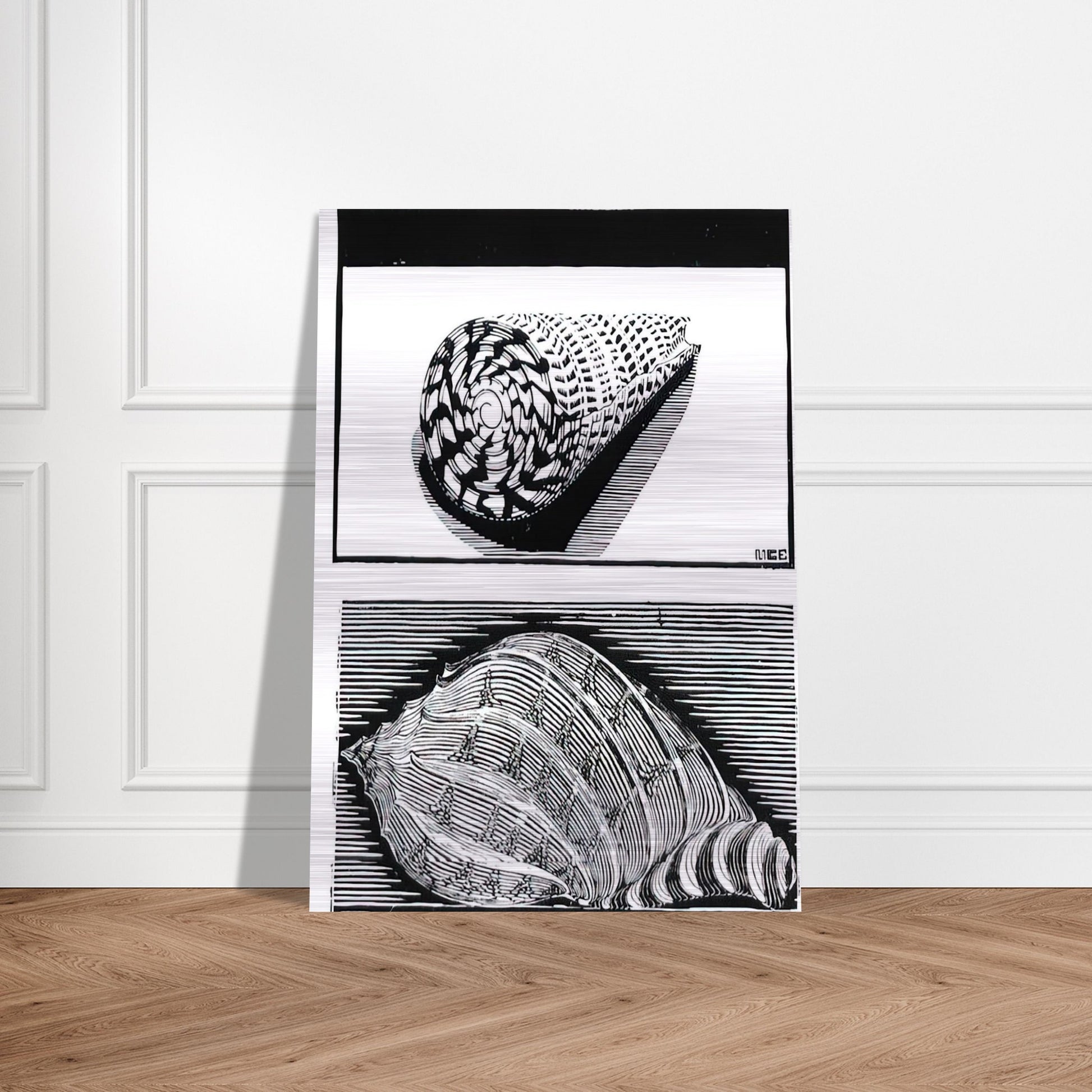 SEA SHELLS - MC Escher Brushed Aluminum Print - 70x100 cm / 28x40 inches | MC Escher Aluminum Print | MC Escher Prints