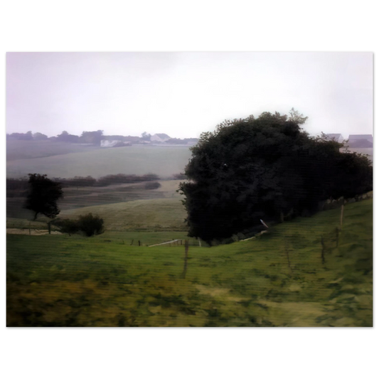 Gerhard Richter - MEADOWLAND  75x100 cm / 30x40inches Fine Art Poster