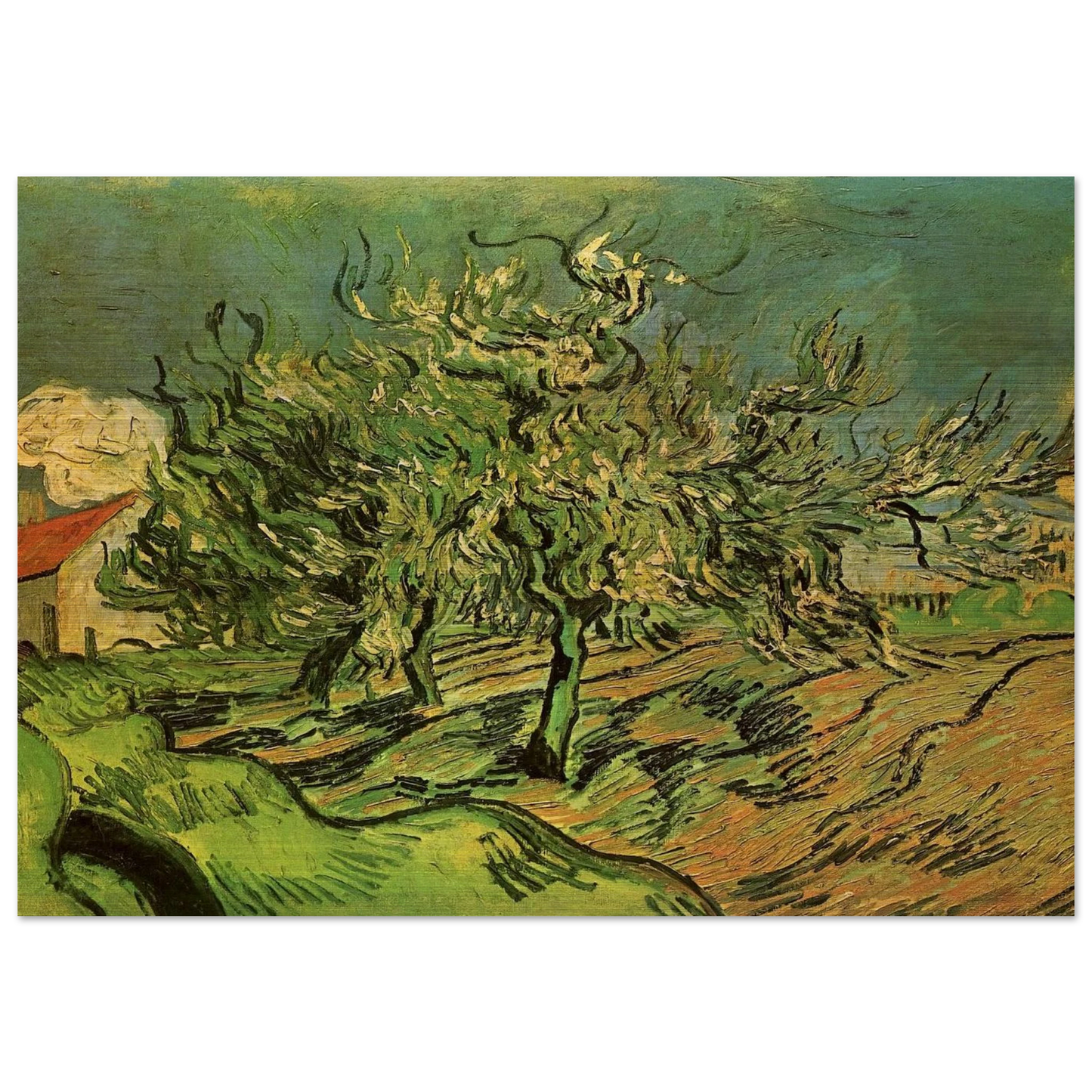 Landscape with Three Trees and a House - Vincent van Gogh Brushed Aluminum Print - 70x100 cm / 28x40 inches | Vincent van Gogh Aluminum Print | Vincent van Gogh Prints