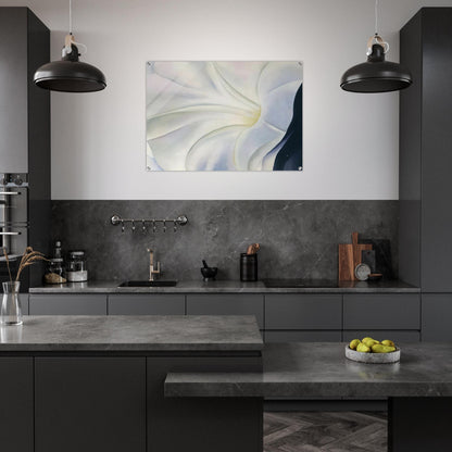 Morning Glory with Black - Georgia O'Keeffe Acrylic Print - 70x100 cm / 28x40″ inches | Georgia O'Keeffe Wall Art | Georgia O'Keeffe Prints