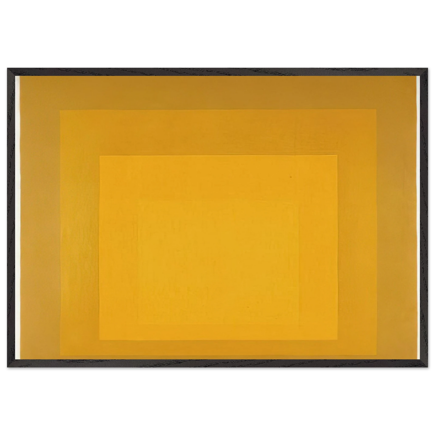 STUDY FOR HOMAGE TO THE SQUARE DEPARTING IN YELLOW 1964 - Josef Albers 70x100 cm / 28x40 inches Framed Art Print – Black Wooden Frame