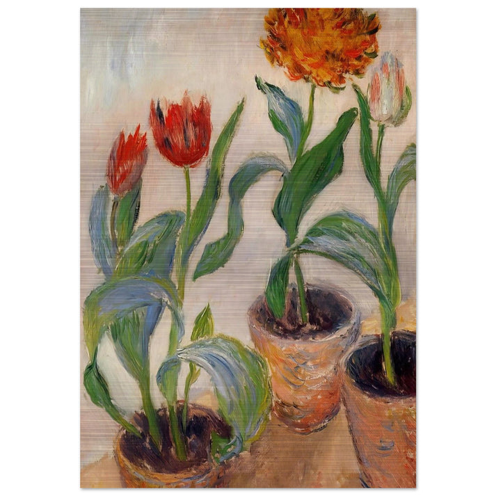 Three Pots of Tulips - claude monet Brushed Aluminum Print - 70x100 cm / 28x40 inches | claude monet Aluminum Print | claude monet Prints