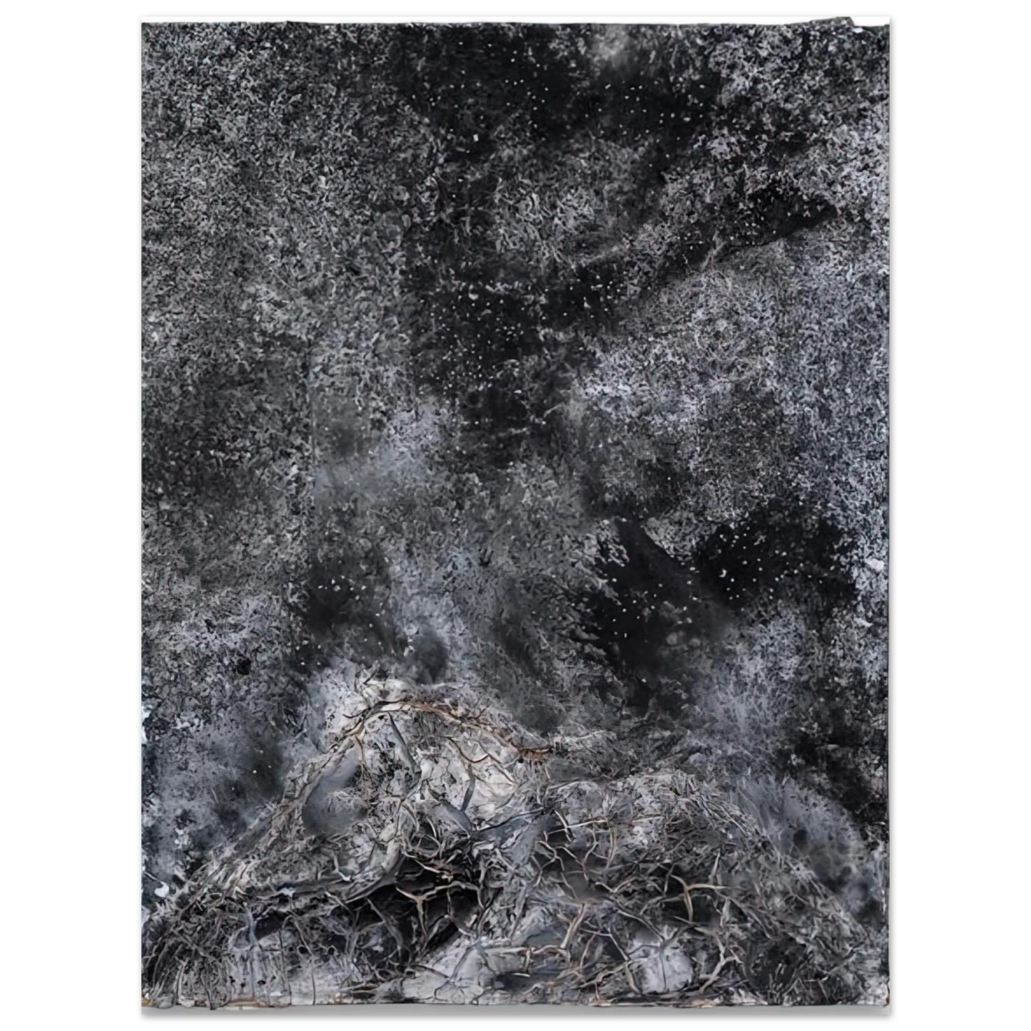 Anselm Kiefer - THE SECRET LIFE OF PLANTS FOR ROBERT FLUDD 2014  75x100 cm / 30x40inches Fine Art Poster