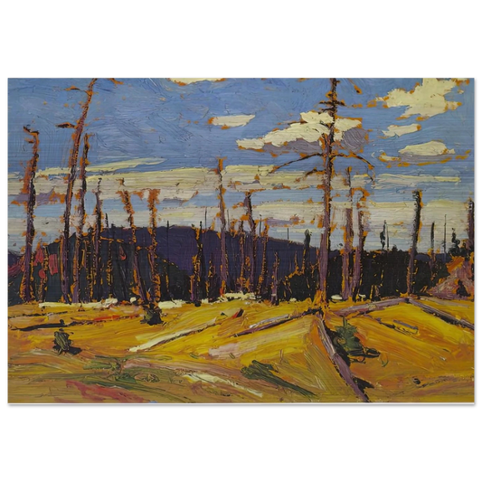 BURNT OVER FOREST 1916 - Tom Thomson Brushed Aluminum Print - 70x100 cm / 28x40 inches | Tom Thomson Aluminum Print | Tom Thomson Prints
