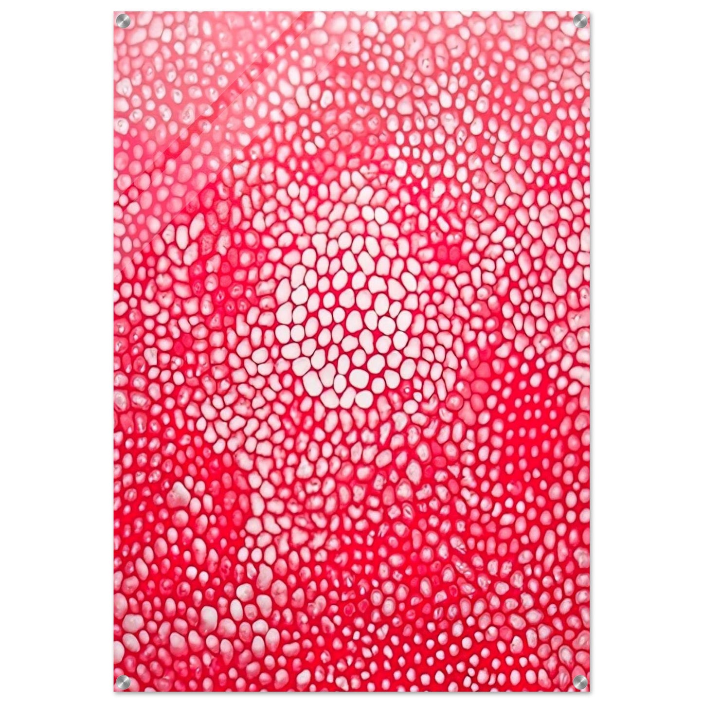 SUNLIGHT 1998 - Yayoi Kusama Acrylic Print - 70x100 cm / 28x40″ inches | Yayoi Kusama Wall Art | Yayoi Kusama Prints