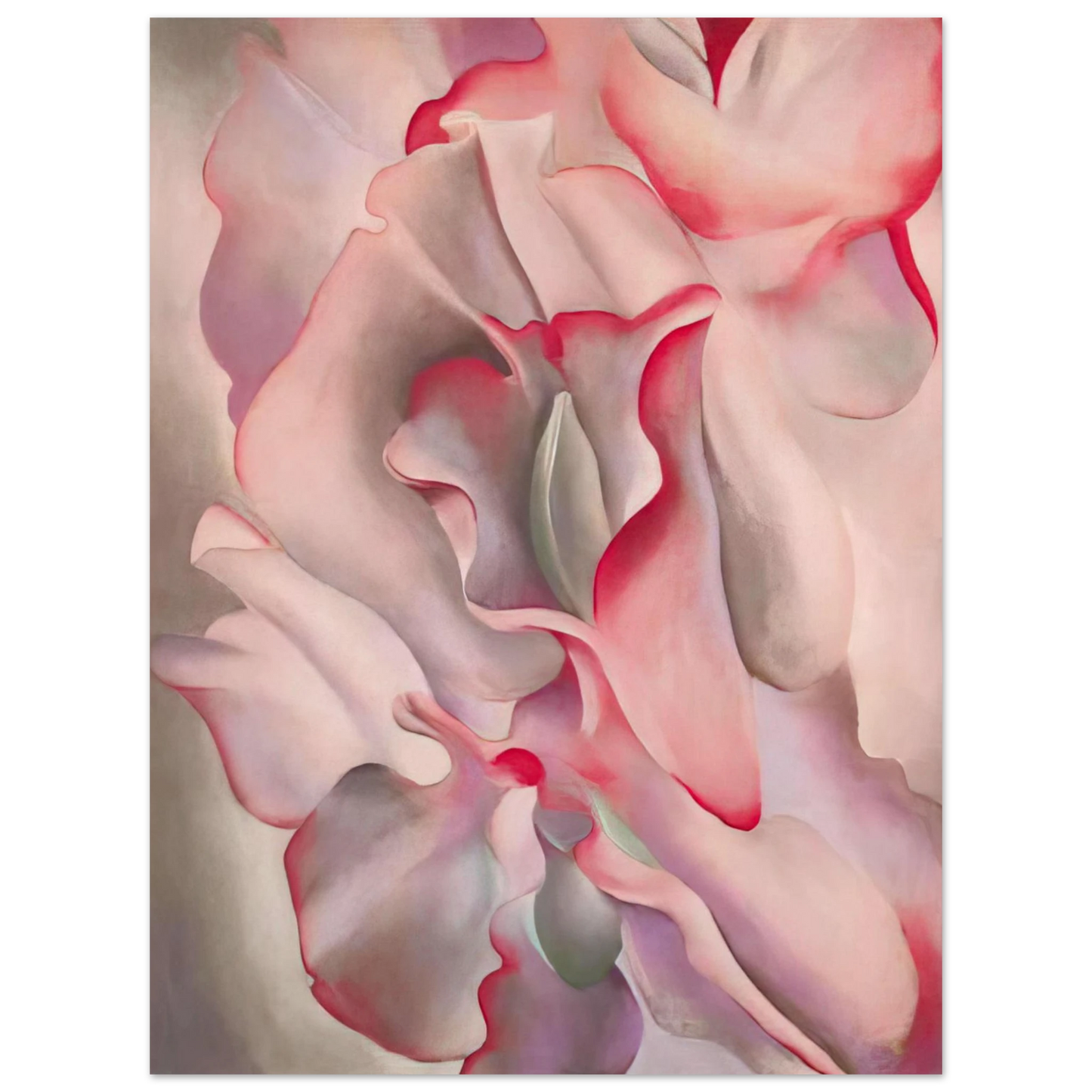 Georgia O'Keeffe - Pink Sweet Peas 2 Fine Art Poster