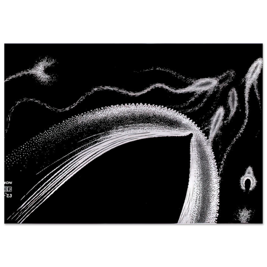 DOLPHINS - MC Escher Brushed Aluminum Print - 70x100 cm / 28x40 inches | MC Escher Aluminum Print | MC Escher Prints