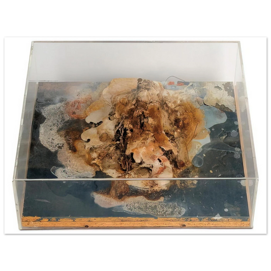 Dieter Roth - Small Island - 1968  75x100 cm / 30x40inches Fine Art Poster
