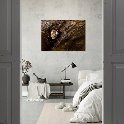 INLAND SHELL - Andrew Wyeth Brushed Aluminum Print - 70x100 cm / 28x40 inches | Andrew Wyeth Aluminum Print | Andrew Wyeth Prints