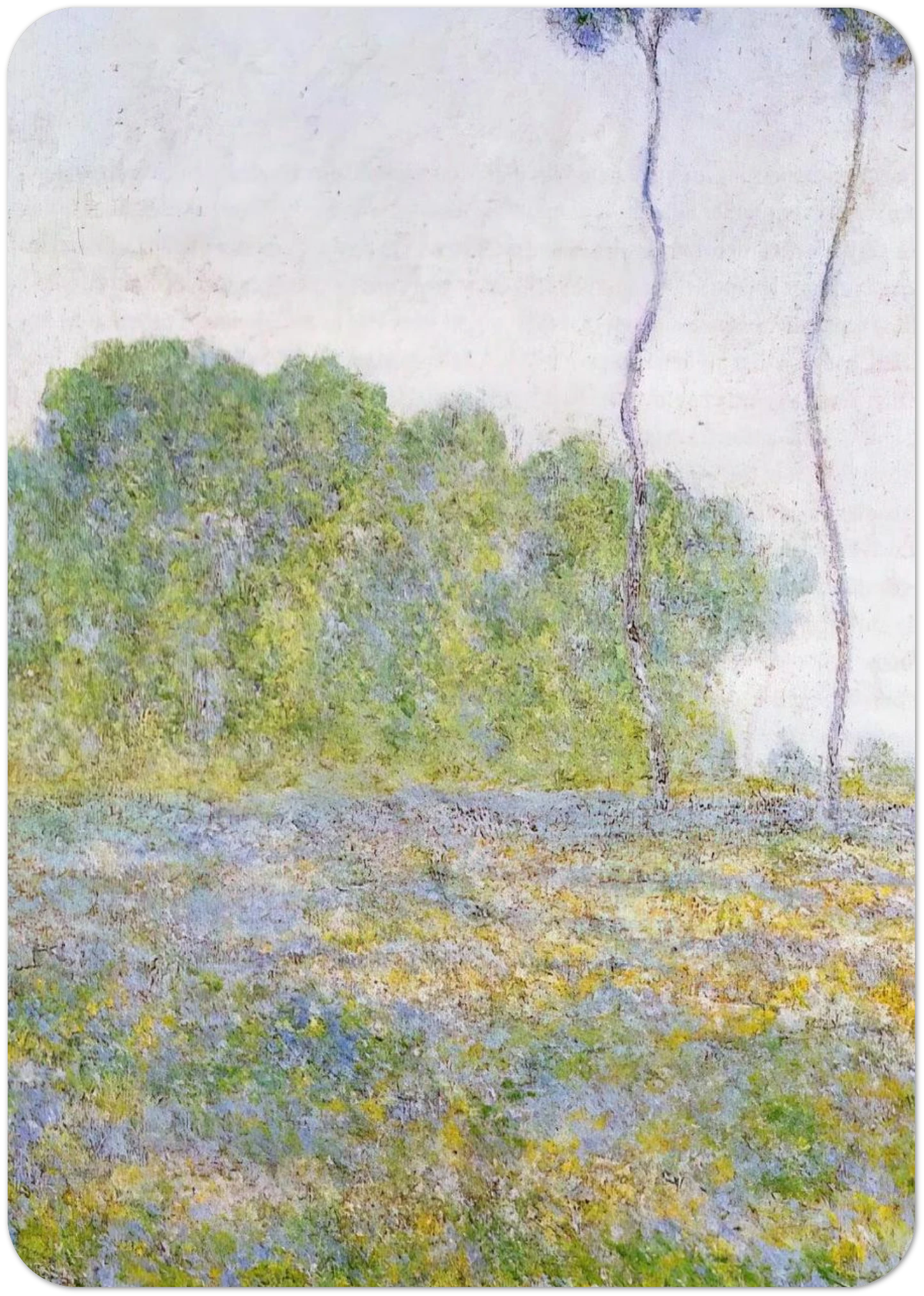 5b544dd1-7216-4a55-b6e6-5b4187d28dc4