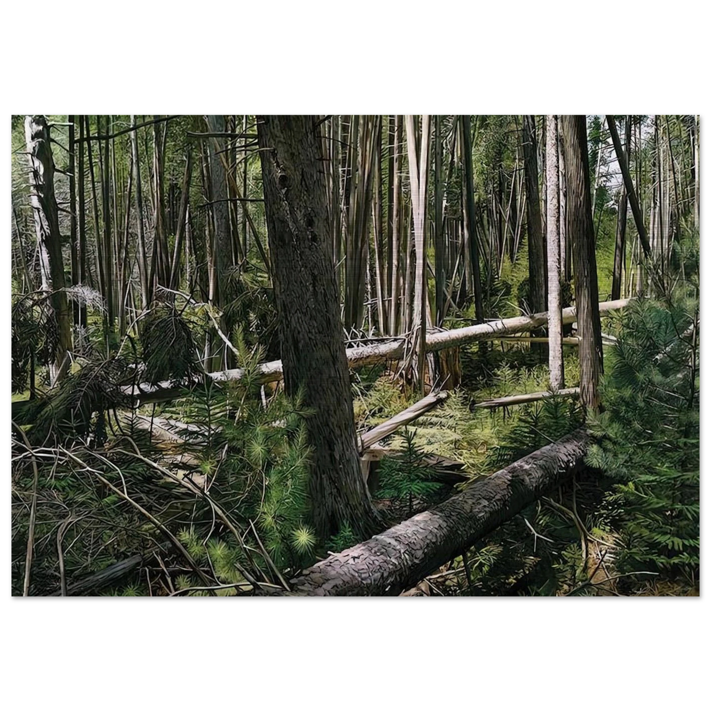 NEAR HUNTERS BEACH ACADIA NATIONAL PARK 2008 - Richard Estes Brushed Aluminum Print - 70x100 cm / 28x40 inches | Richard Estes Aluminum Print | Richard Estes Prints