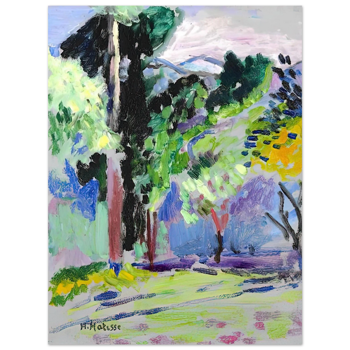 Henri Matisse - PAYSAGE A COLLIOURE 1905  75x100 cm / 30x40inches Fine Art Poster