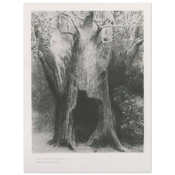 Odilon Redon - I PLUNGED INTO SOLITUDE I DWELT IN THE TREE BEHIND ME PLATE 9 1896  75x100 cm / 30x40inches Fine Art Poster
