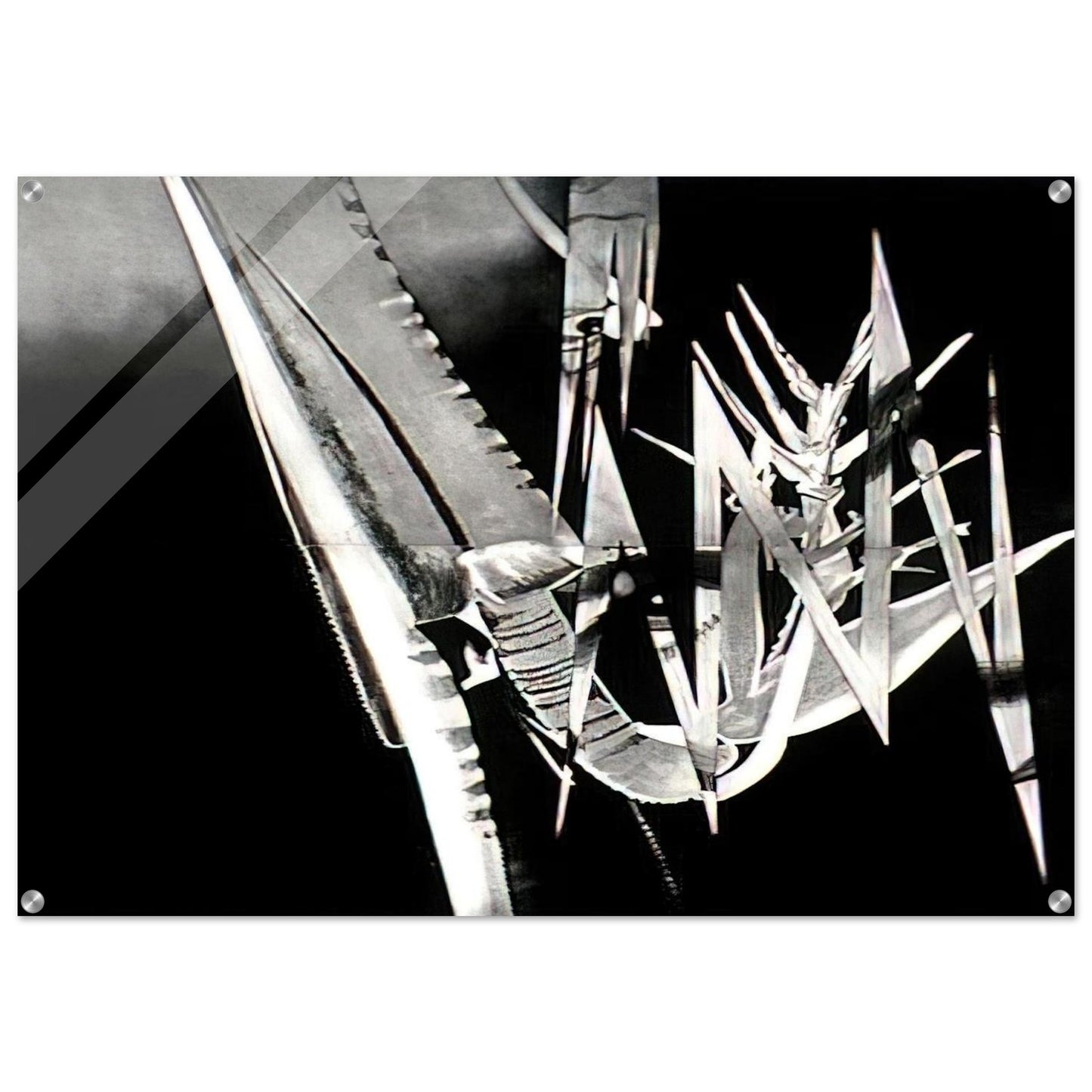 The Prickly Dark - James Rosenquist Acrylic Print - 70x100 cm / 28x40″ inches