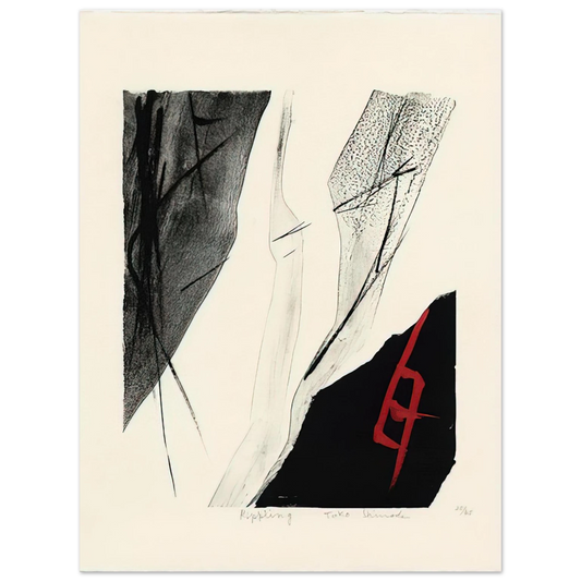 Toko Shinoda - Rippling - 1983  75x100 cm / 30x40inches Fine Art Poster